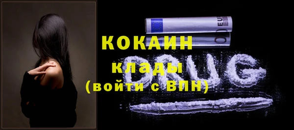 шишки Аркадак