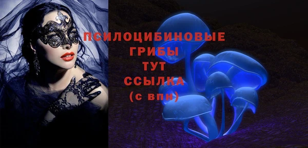 шишки Аркадак