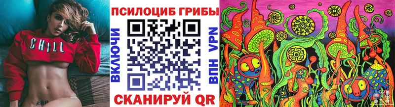 Псилоцибиновые грибы Psilocybe  даркнет Telegram  Петухово  наркотики 